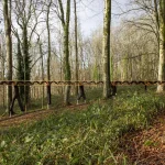 The Datum, Sustainable Timber Design, Architectural Association
