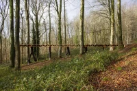 The Datum, Sustainable Timber Design, Architectural Association