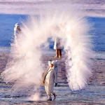 Harbin Ice City, the World’s Largest Frozen Wonderland That Melts in Two Months
