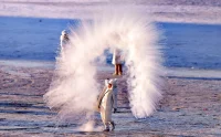 Harbin Ice City, the World’s Largest Frozen Wonderland That Melts in Two Months