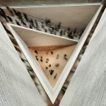JKMM’s Kumma wins Helsinki’s Museum of Architecture and Design competition