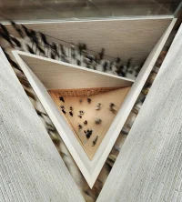 JKMM’s Kumma wins Helsinki’s Museum of Architecture and Design competition