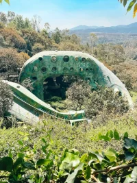 landscape architecture