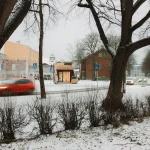PAKK Pavilion in Tallinn: Timber Architecture Collaboration with Myceen and EKA PAKK