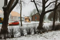 PAKK Pavilion in Tallinn: Timber Architecture Collaboration with Myceen and EKA PAKK
