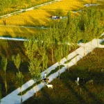 Chinese Landscape Architect Kongjian Yu