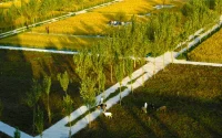 Chinese Landscape Architect Kongjian Yu