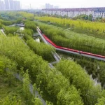 Chinese Landscape Architect Kongjian Yu