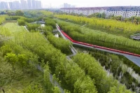 Chinese Landscape Architect Kongjian Yu