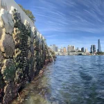 Sydney’s 3D-Printed Living Seawalls