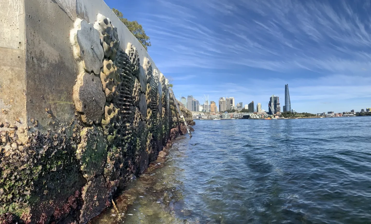 Sydney’s 3D-Printed Living Seawalls