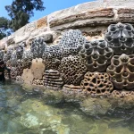 Sydney’s 3D-Printed Living Seawalls