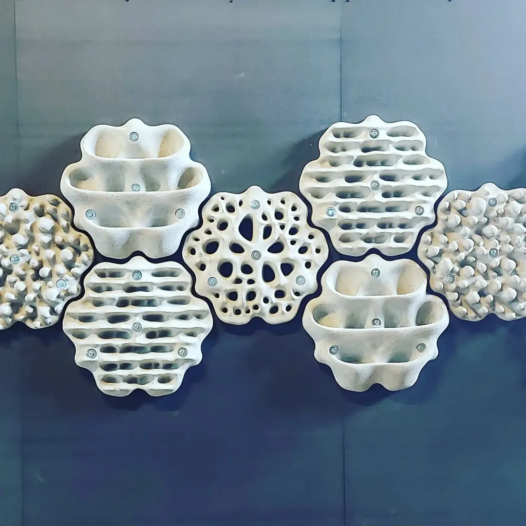 Sydney’s 3D-Printed Living Seawalls