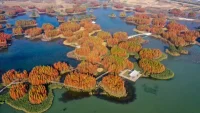 Chinese Landscape Architect Kongjian Yu