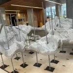 Sydney’s 3D-Printed Living Seawalls