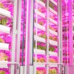 China Launches World’s First Fully Unmanned 20-Storey Vertical Plant Factory