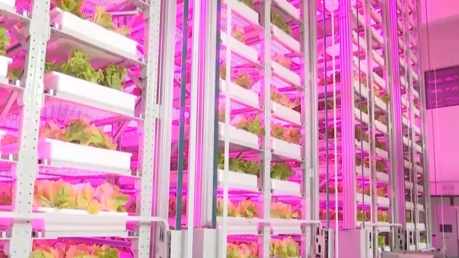 China Launches World’s First Fully Unmanned 20-Storey Vertical Plant Factory