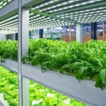China Launches World’s First Fully Unmanned 20-Storey Vertical Plant Factory