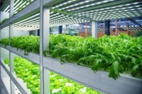 China Launches World’s First Fully Unmanned 20-Storey Vertical Plant Factory