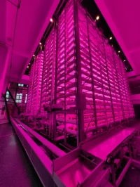 China Launches World’s First Fully Unmanned 20-Storey Vertical Plant Factory