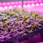 China Launches World’s First Fully Unmanned 20-Storey Vertical Plant Factory
