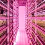 China Launches World’s First Fully Unmanned 20-Storey Vertical Plant Factory