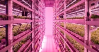China Launches World’s First Fully Unmanned 20-Storey Vertical Plant Factory