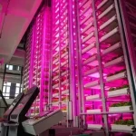 China Launches World’s First Fully Unmanned 20-Storey Vertical Plant Factory