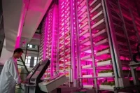 China Launches World’s First Fully Unmanned 20-Storey Vertical Plant Factory