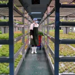 China Launches World’s First Fully Unmanned 20-Storey Vertical Plant Factory