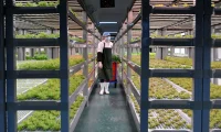 China Launches World’s First Fully Unmanned 20-Storey Vertical Plant Factory