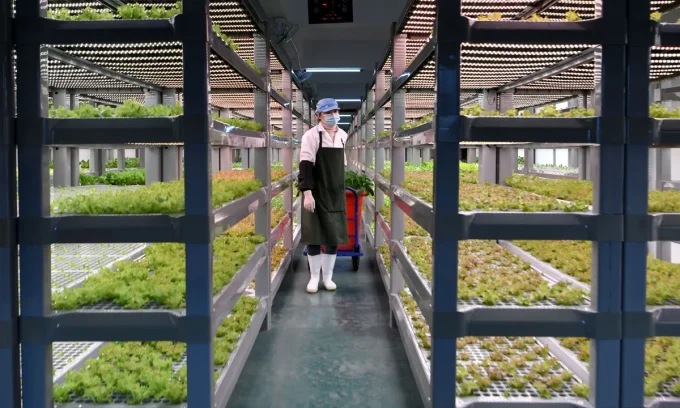 China Launches World’s First Fully Unmanned 20-Storey Vertical Plant Factory