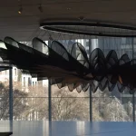 Women in computational architecture