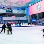 Iran Mall