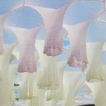 Women in computational architecture