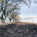 KAIT Plaza by Junya Ishigami + Associates