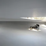 KAIT Plaza by Junya Ishigami + Associates