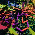 Kyoto’s TeamLab Biovortex