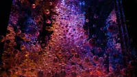 Kyoto’s TeamLab Biovortex