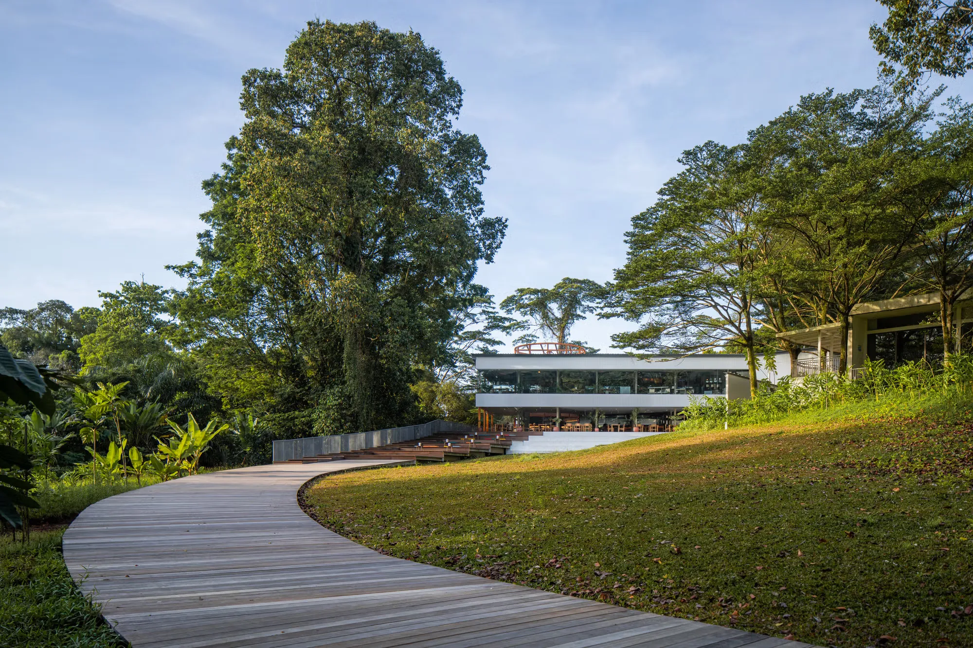 OMA projects