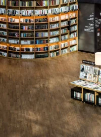 Beautiful Libraries in the World