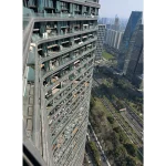 The Regent International Dystopian Tower in Hangzhou