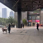 The Regent International Dystopian Tower in Hangzhou