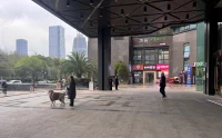 The Regent International Dystopian Tower in Hangzhou