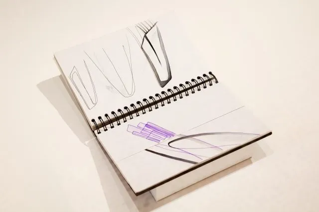 Lessons from Zaha Hadid