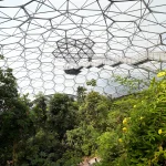 Unique Roof Designs