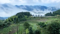Xu Tiantian Wins 2026 Le Prix Charlotte Perriand