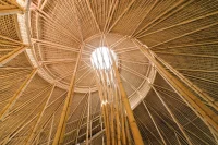 Educational institutions, Campuses, Architecture of Education