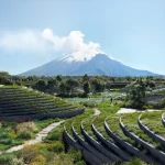 World Architecture Festival 2025