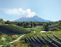 World Architecture Festival 2025